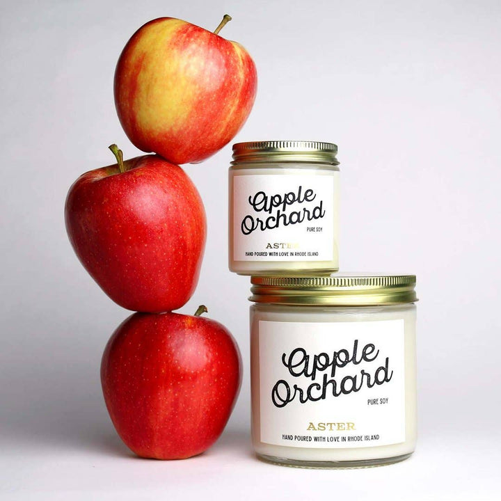 Aster Candle Apple Orchard Candle - 4oz
