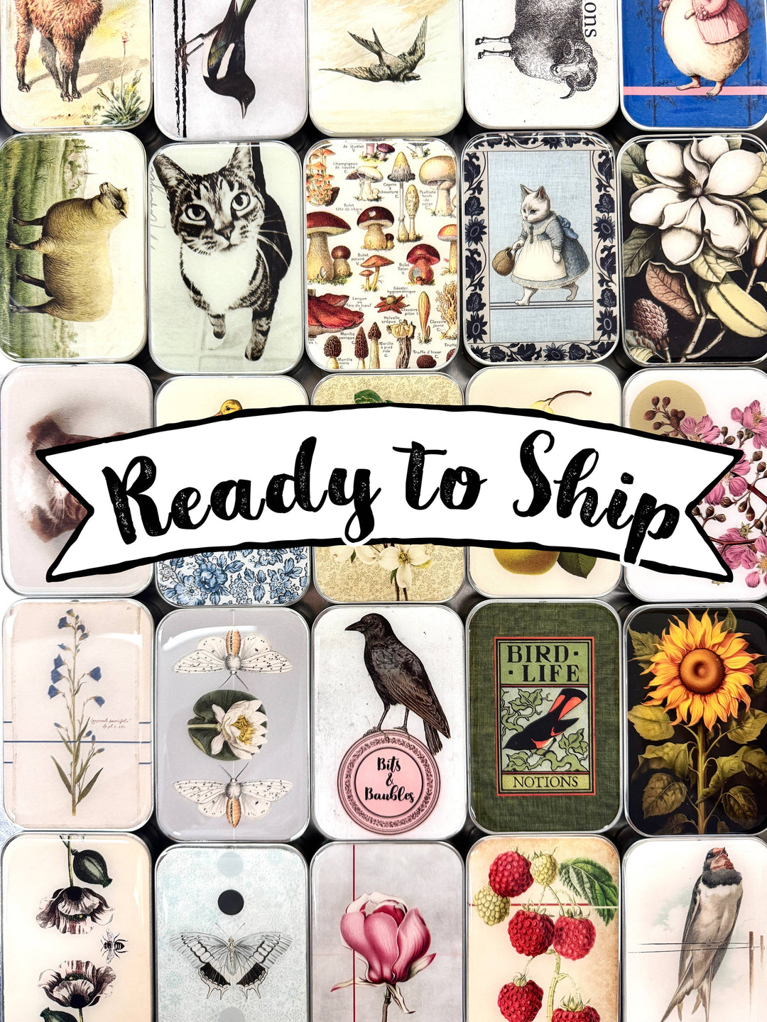Ready to Ship Assorted Tin Packs