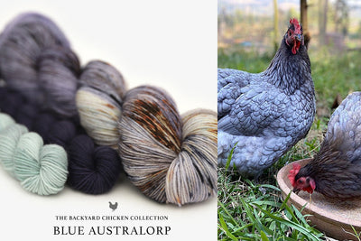 Hue Loco 2023 The Hens Sock Set Yarn