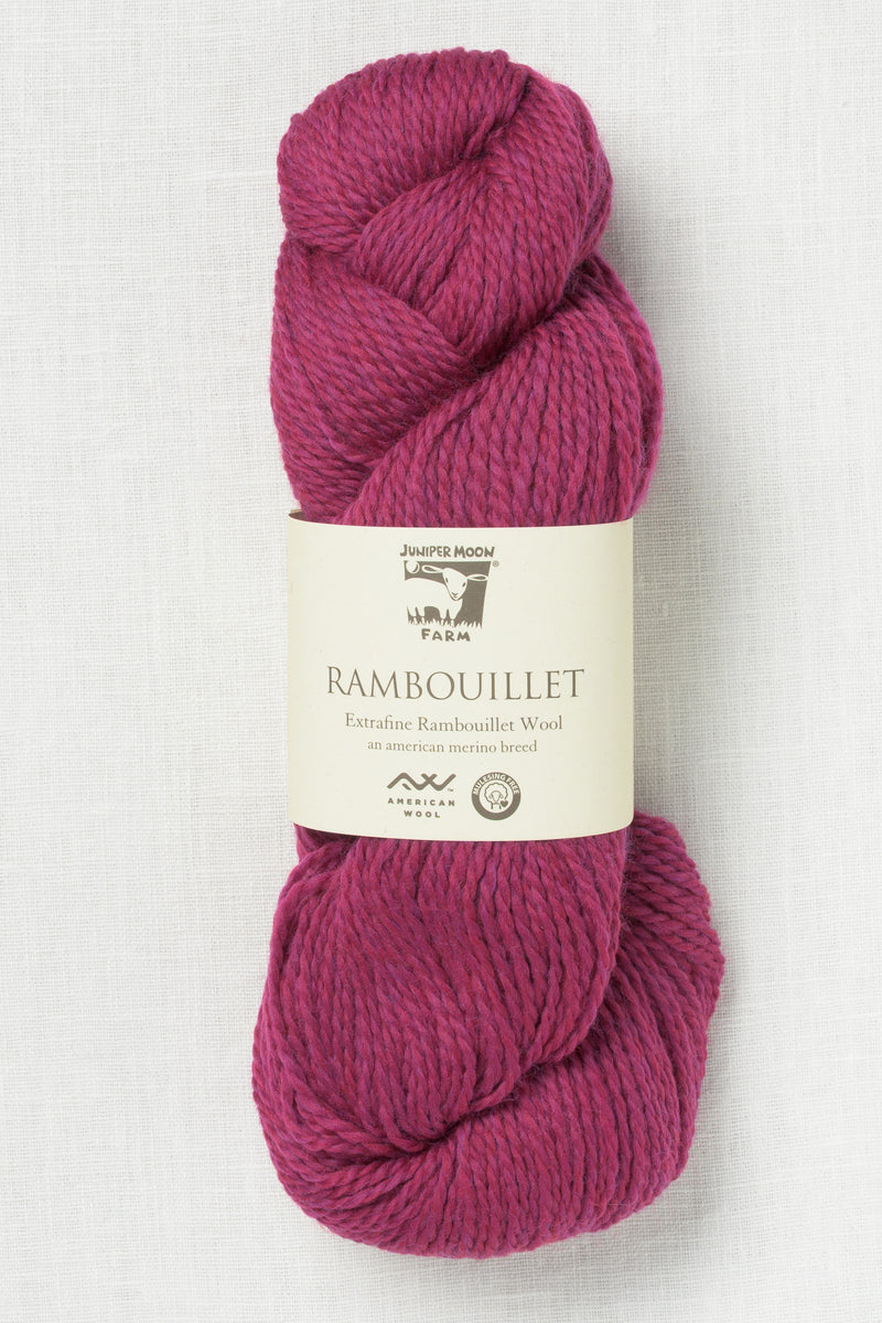 Rambouillet by Juniper Moon Farms