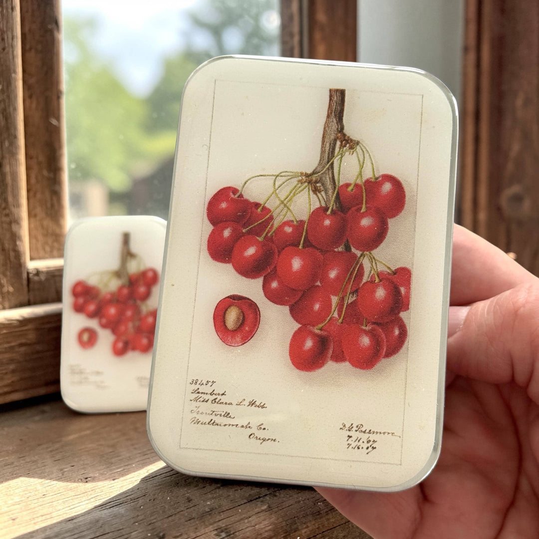 Botanical Cherry Notion Tin