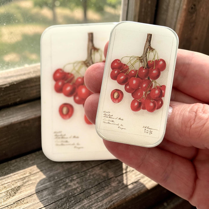 Botanical Cherry Notion Tin
