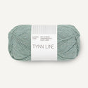 6841- Dusty Aqua