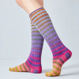 Uneek Sock Kit by Urth Yarns