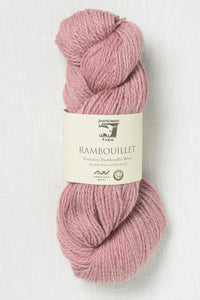 Rambouillet by Juniper Moon Farms