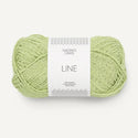 9523- Lime Punch