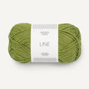 9564 - Matcha
