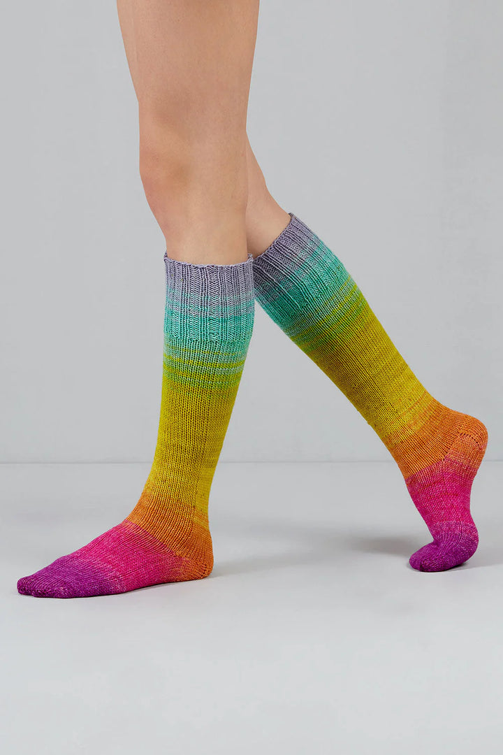 Gusto Wool Echoes Sock Yarn
