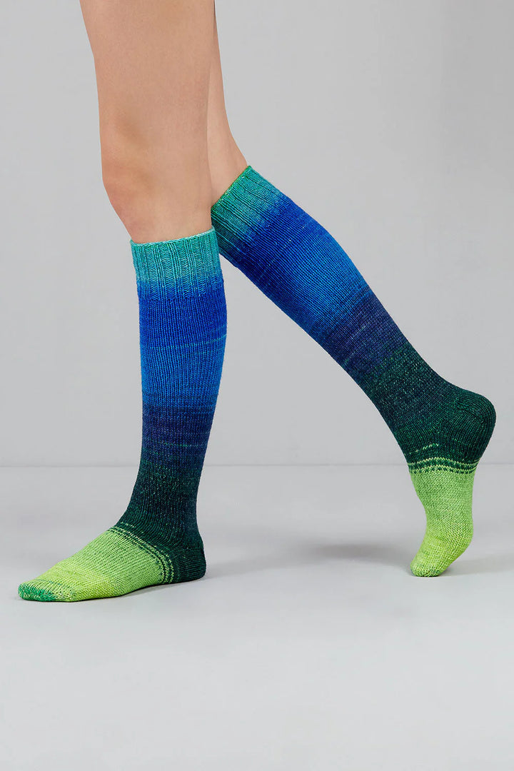 Gusto Wool Echoes Sock Yarn