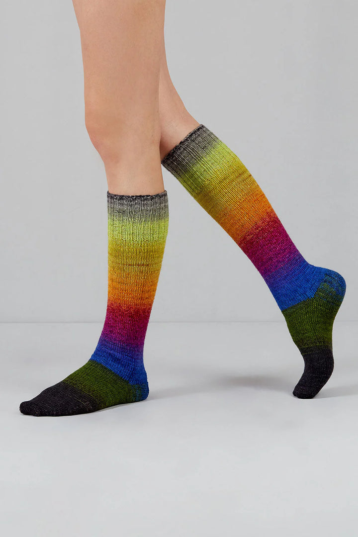 Gusto Wool Echoes Sock Yarn