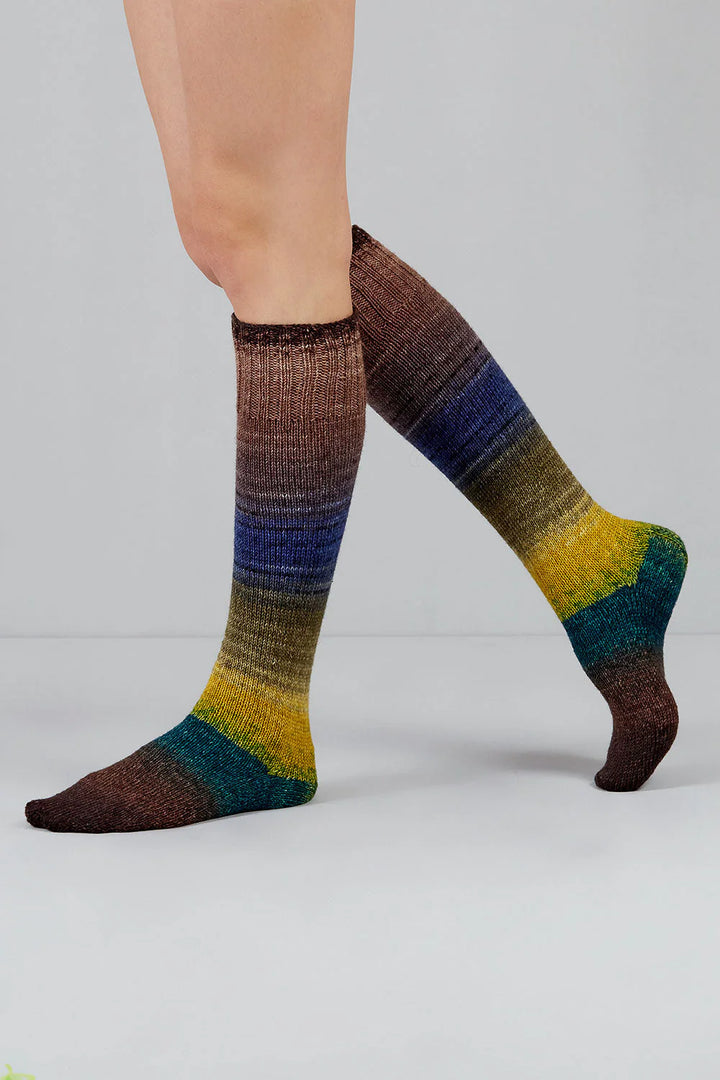 Gusto Wool Echoes Sock Yarn