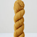 Acorn