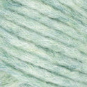 23 - Sage