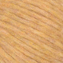 40 - Butterscotch