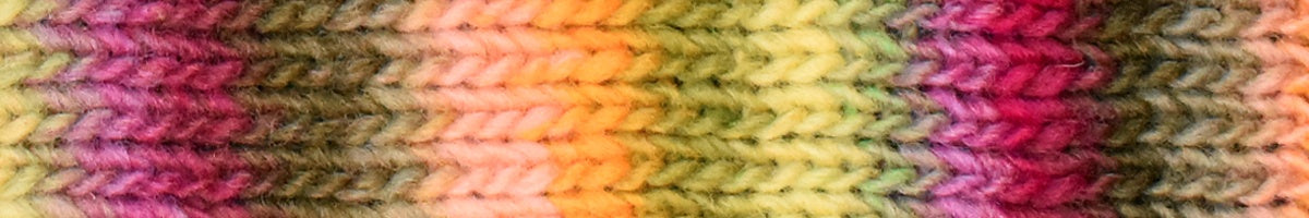 Noro Kureyon