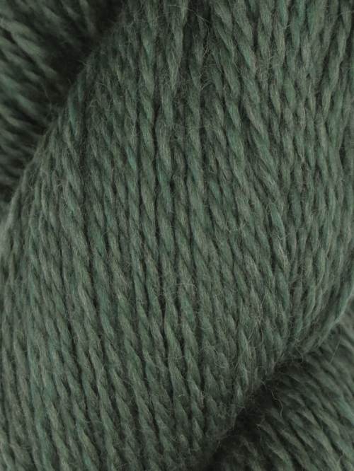 Rambouillet by Juniper Moon Farms