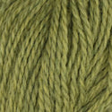 1018- Wild Chartreuse
