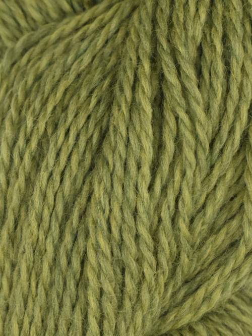 Rambouillet by Juniper Moon Farms