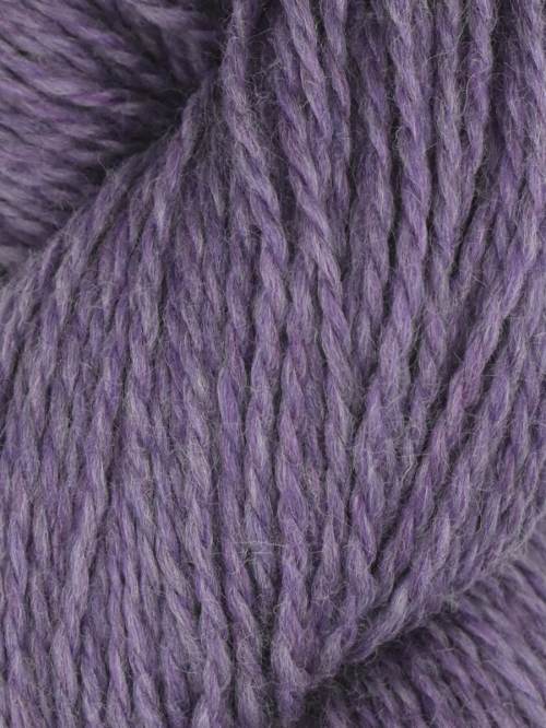 Rambouillet by Juniper Moon Farms