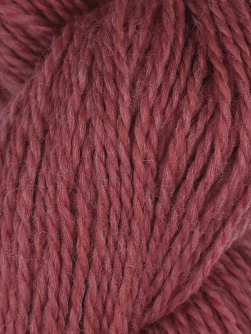 Rambouillet by Juniper Moon Farms