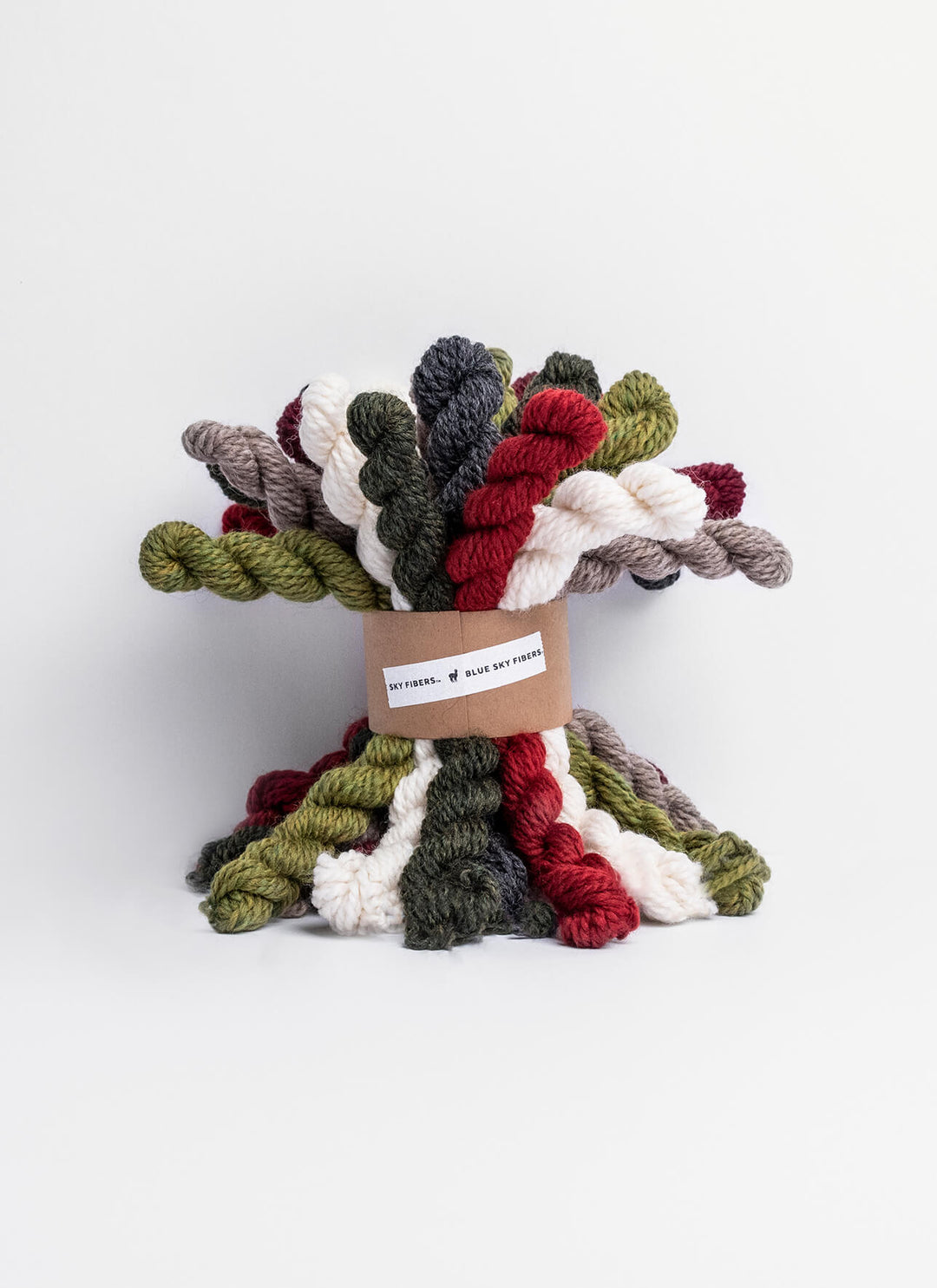Blue Sky Fibers Woolstok Minis Bundle Kit