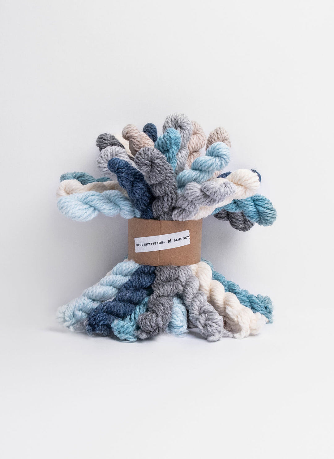 Blue Sky Fibers Woolstok Minis Bundle Kit