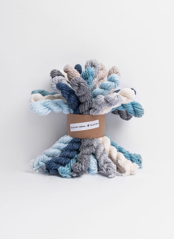 Blue Sky Fibers Woolstok Minis Bundle Kit