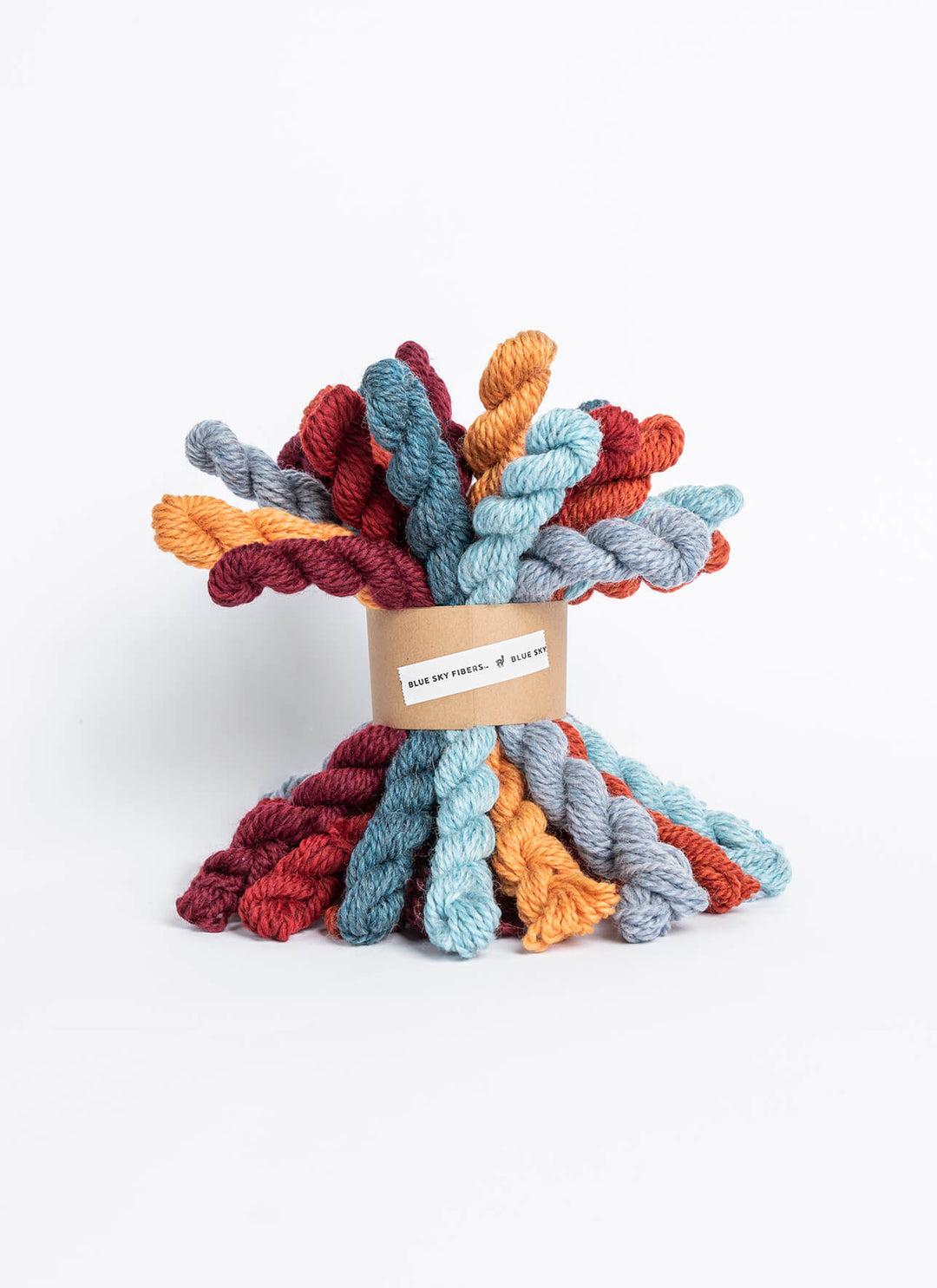 Blue Sky Fibers Woolstok Minis Bundle Kit