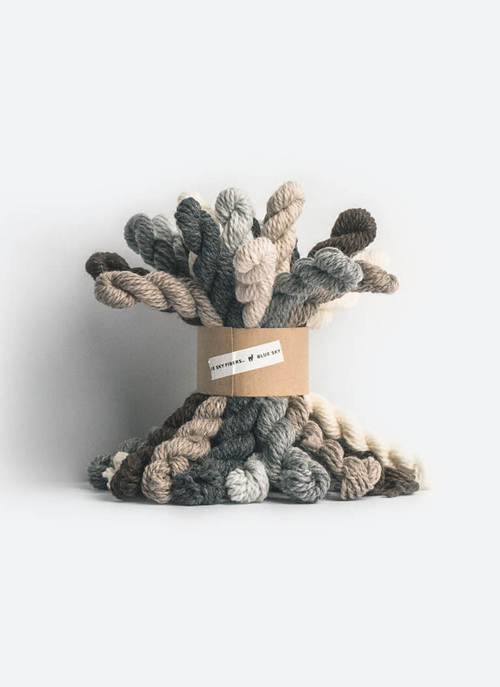 Blue Sky Fibers Woolstok Minis Bundle Kit