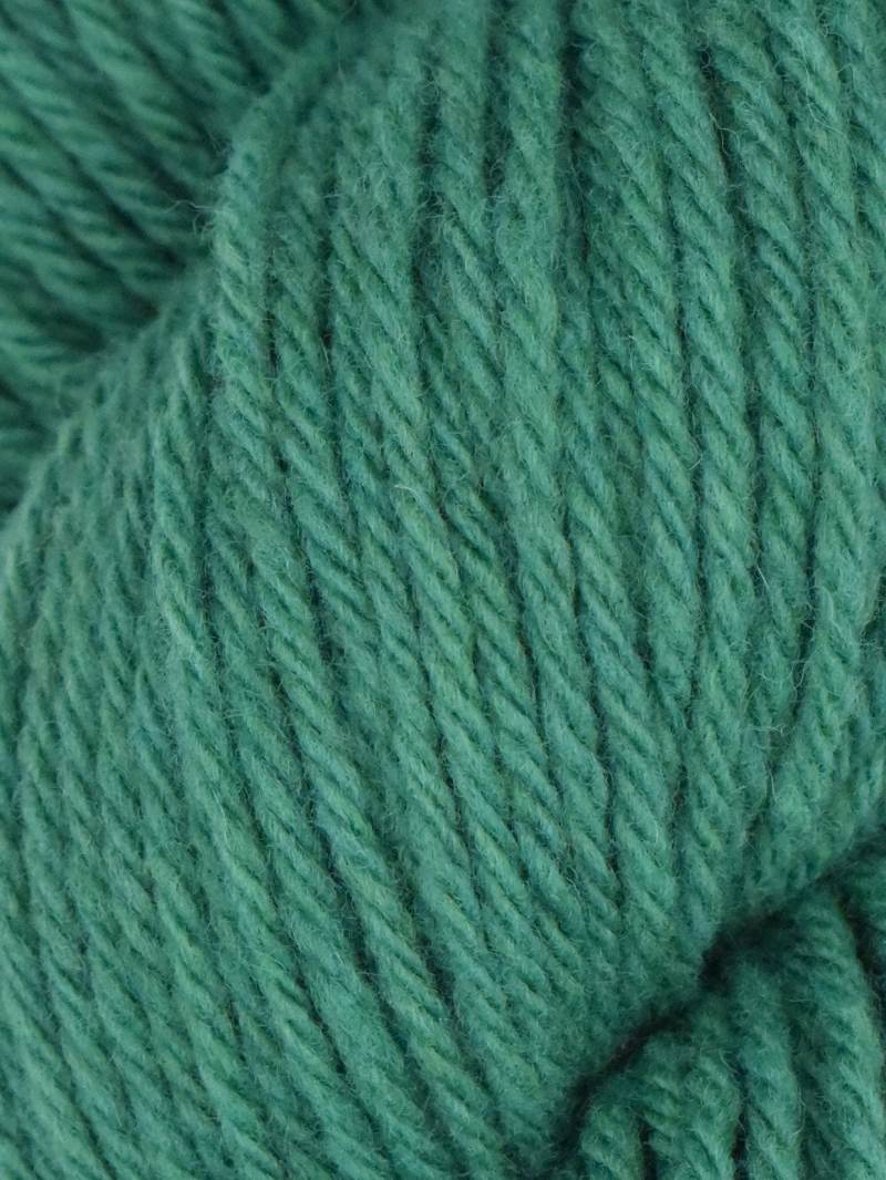 Juniper Moon Santa Cruz
