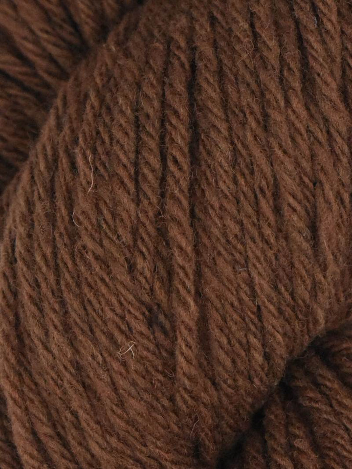 Juniper Moon Santa Cruz