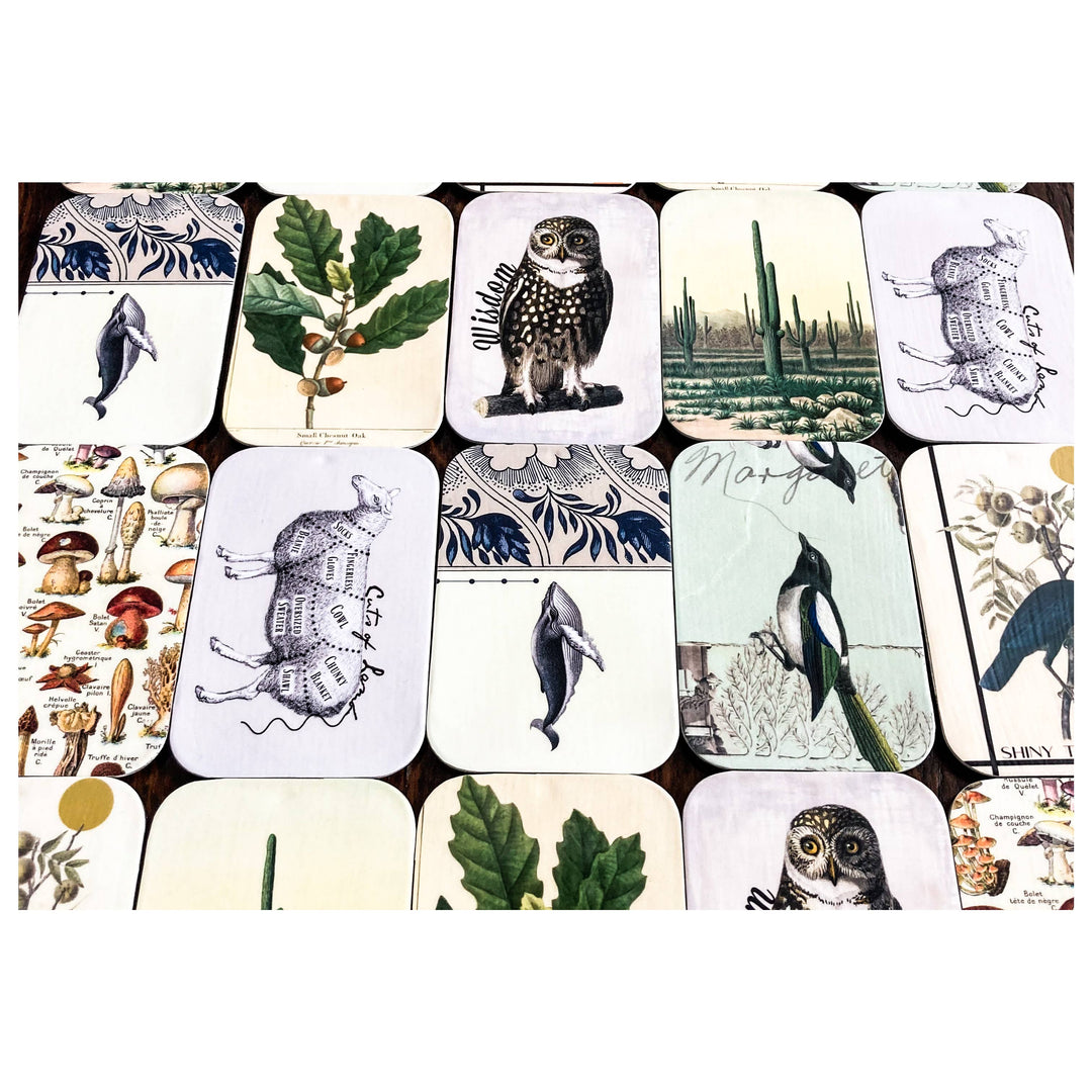 Ready to Ship Assorted Tin Packs