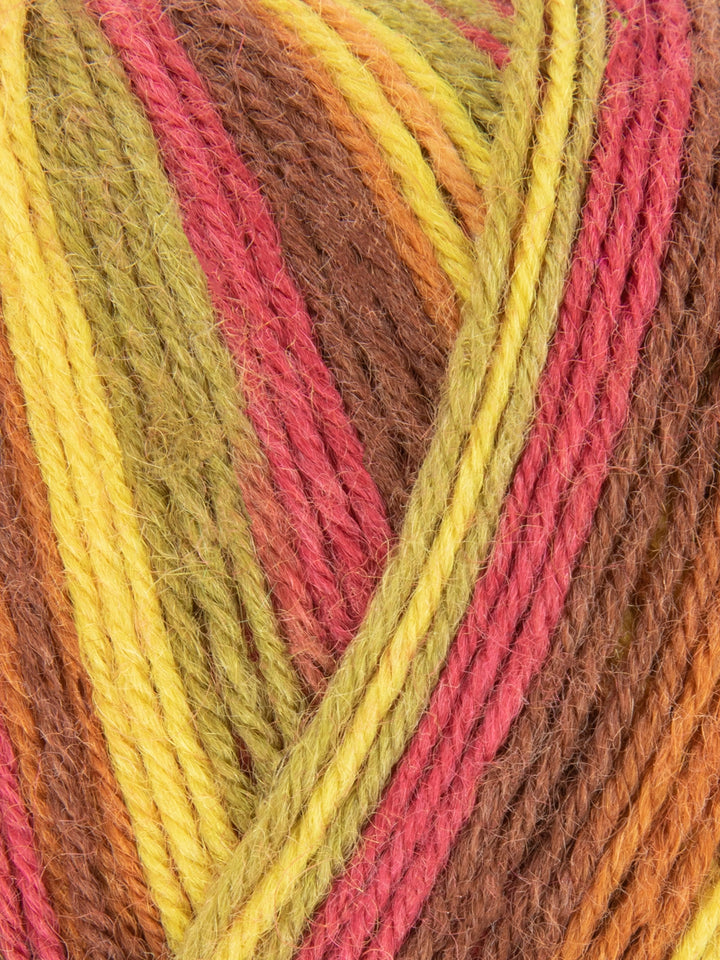West Yorkshire Spinners - Signature 4 ply Sock Yarn