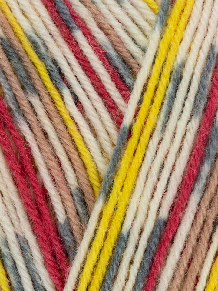 West Yorkshire Spinners - Signature 4 ply Sock Yarn