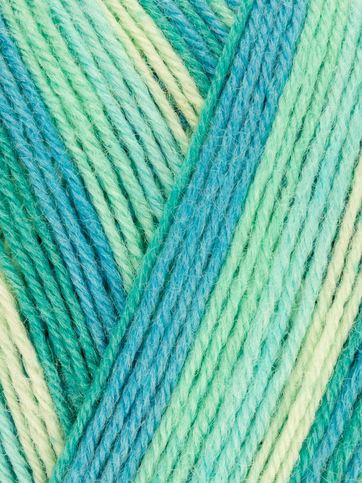 West Yorkshire Spinners - Signature 4 ply Sock Yarn
