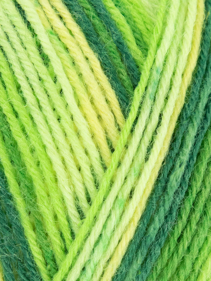 West Yorkshire Spinners - Signature 4 ply Sock Yarn
