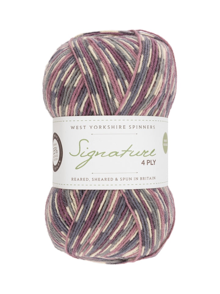 West Yorkshire Spinners - Signature 4 ply Sock Yarn
