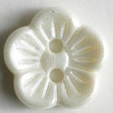 250114 - pearl flowered white