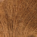 Hide
