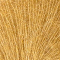 Hide