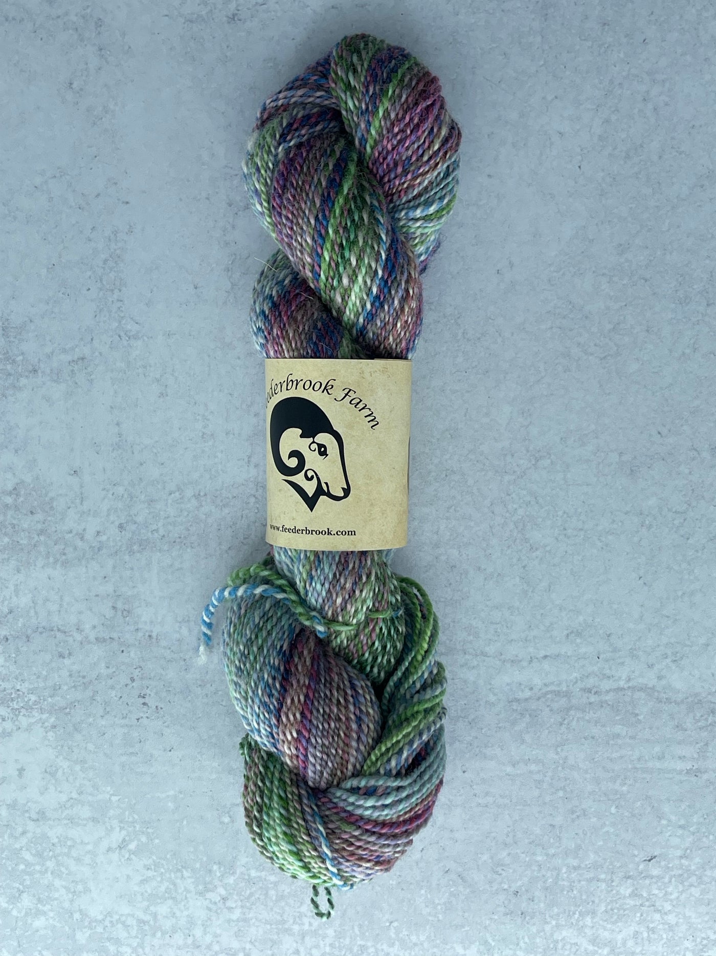 Feederbrook Farms Entropy DK